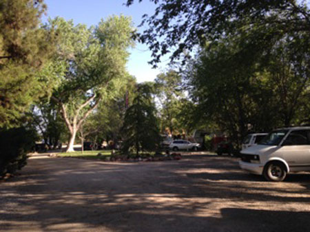 Driveway and trees in the Turquoise Triangle RV Park in Cottnowood, Arizona